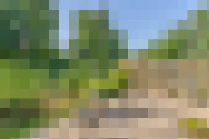 Bermweg 20 Capelle aan den IJssel thumbnail 20