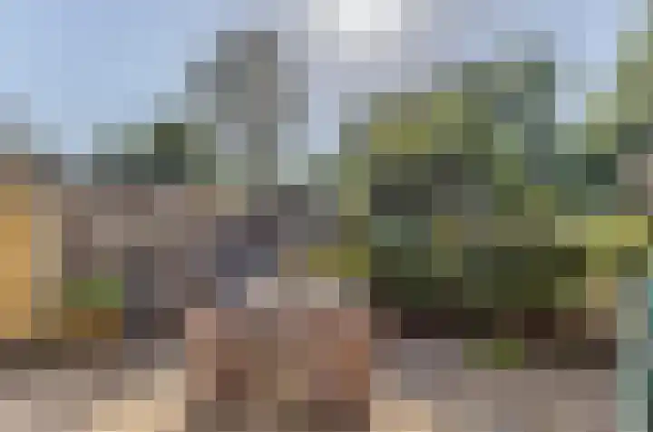 Bermweg 20 Capelle aan den IJssel thumbnail 21