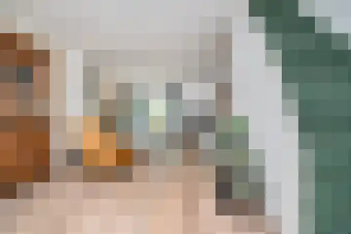 Bermweg 20 Capelle aan den IJssel thumbnail 24
