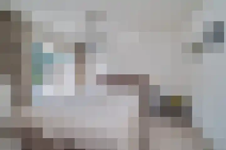 Bermweg 20 Capelle aan den IJssel thumbnail 26