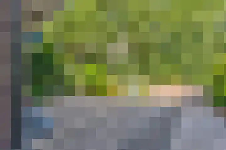 Bermweg 20 Capelle aan den IJssel thumbnail 32