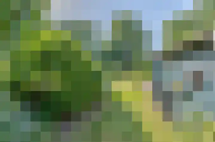 Bermweg 20 Capelle aan den IJssel thumbnail 4