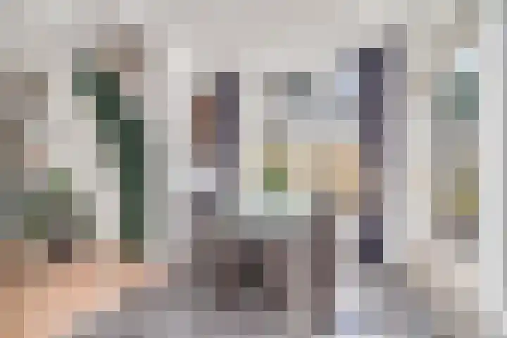 Bermweg 20 Capelle aan den IJssel thumbnail 9