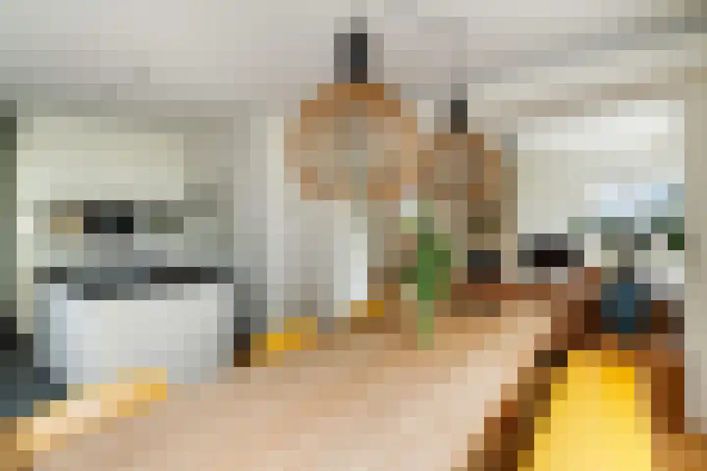 Bermweg 204 Capelle aan den IJssel thumbnail 12