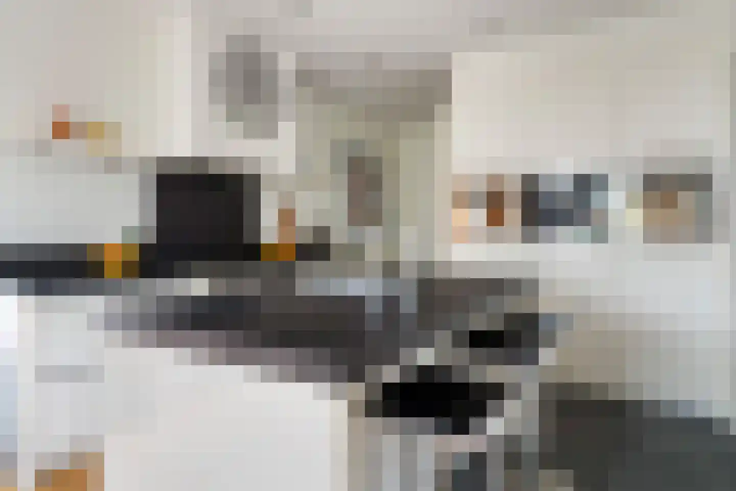 Bermweg 204 Capelle aan den IJssel thumbnail 15