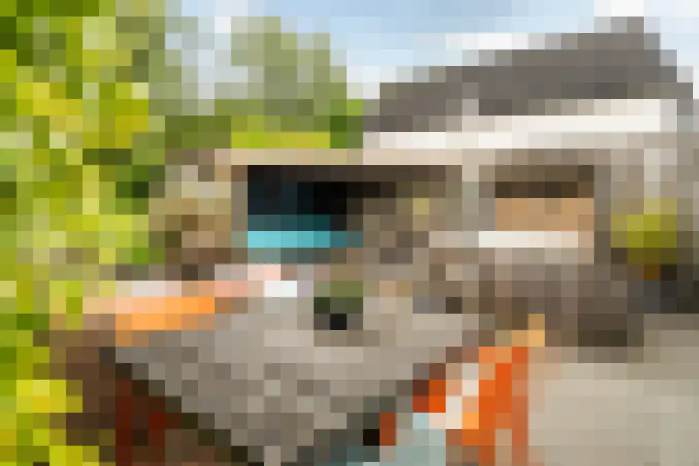 Bermweg 204 Capelle aan den IJssel thumbnail 25