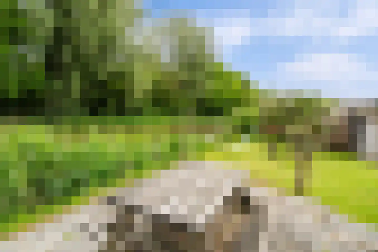 Bermweg 204 Capelle aan den IJssel thumbnail 29
