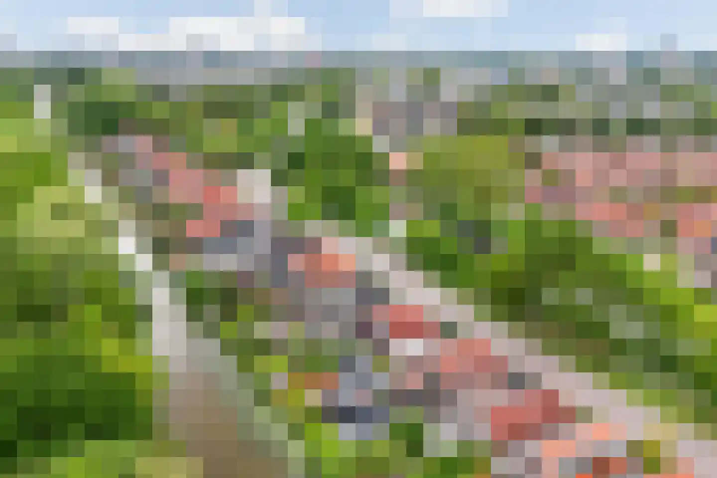 Bermweg 204 Capelle aan den IJssel thumbnail 30