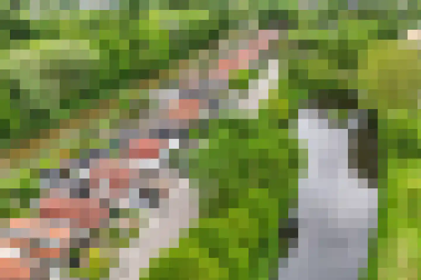 Bermweg 204 Capelle aan den IJssel thumbnail 31