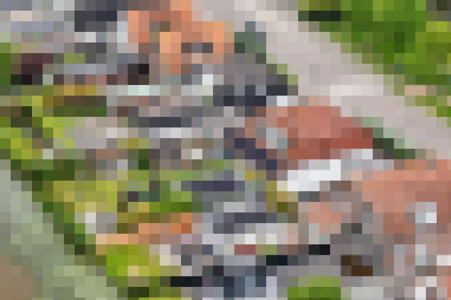Bermweg 204 Capelle aan den IJssel thumbnail 32
