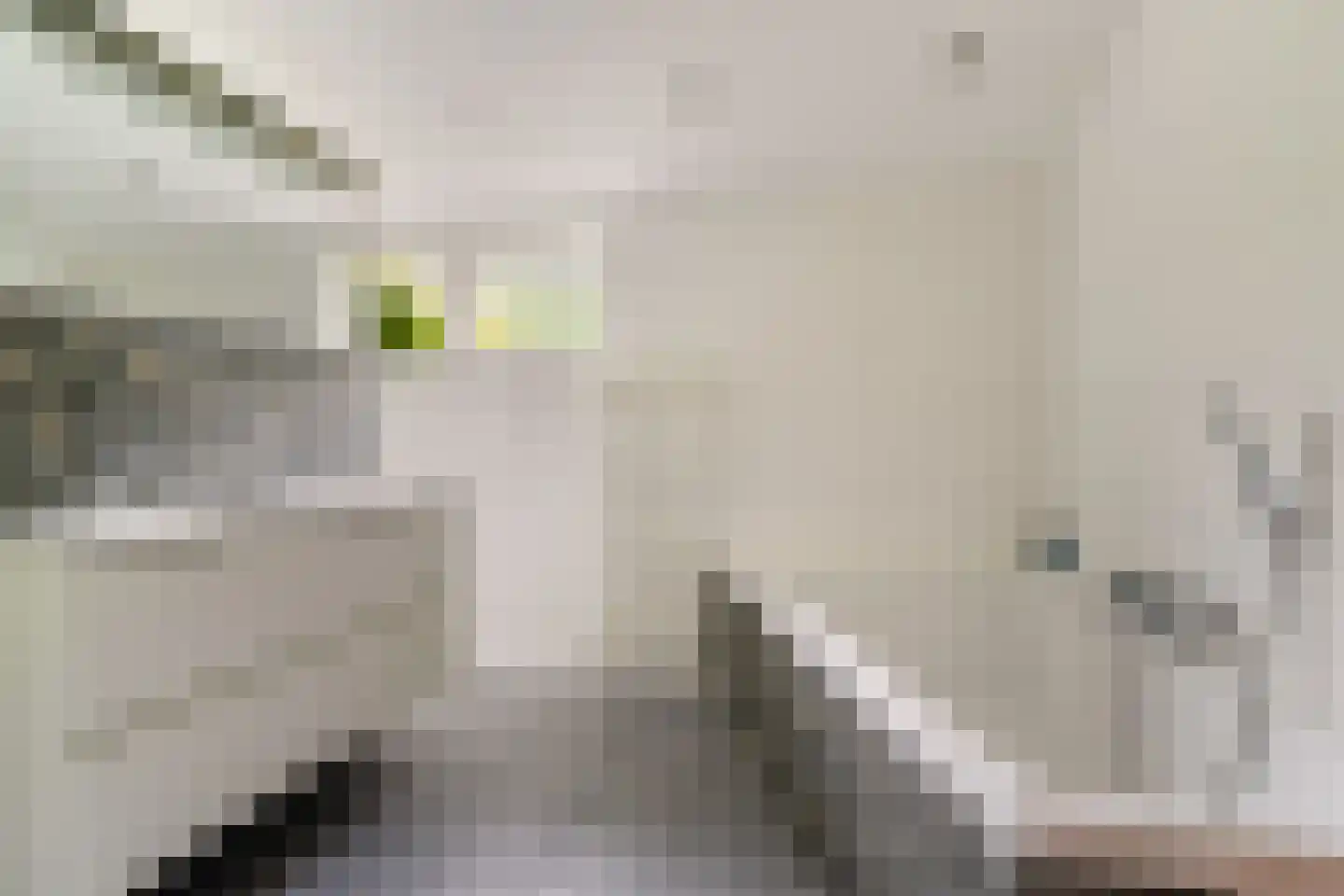 Bermweg 204 Capelle aan den IJssel thumbnail 38