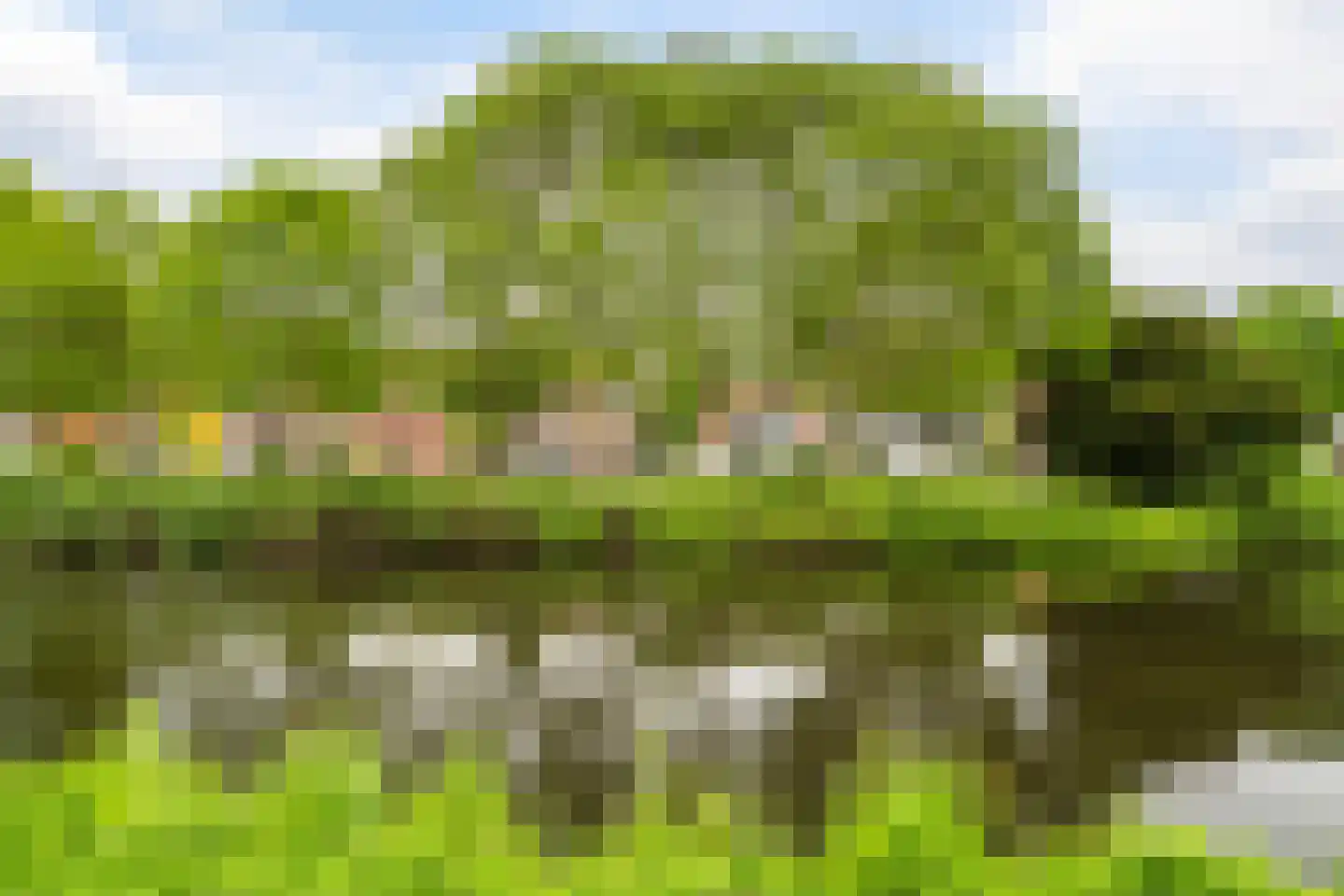 Bermweg 204 Capelle aan den IJssel thumbnail 49
