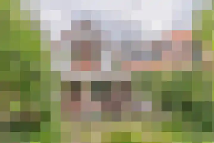 Bermweg 210 Capelle aan den IJssel thumbnail 11