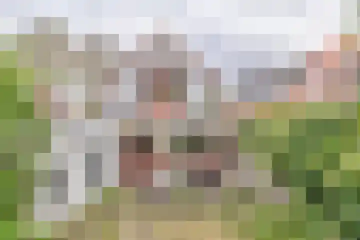 Bermweg 210 Capelle aan den IJssel thumbnail 12