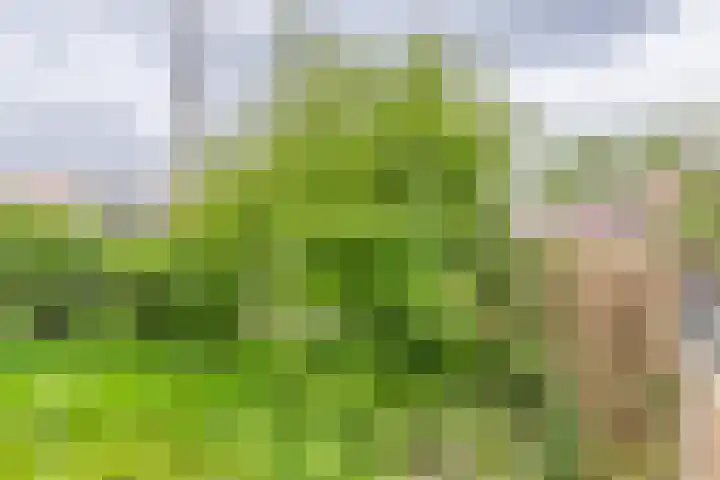 Bermweg 210 Capelle aan den IJssel thumbnail 13
