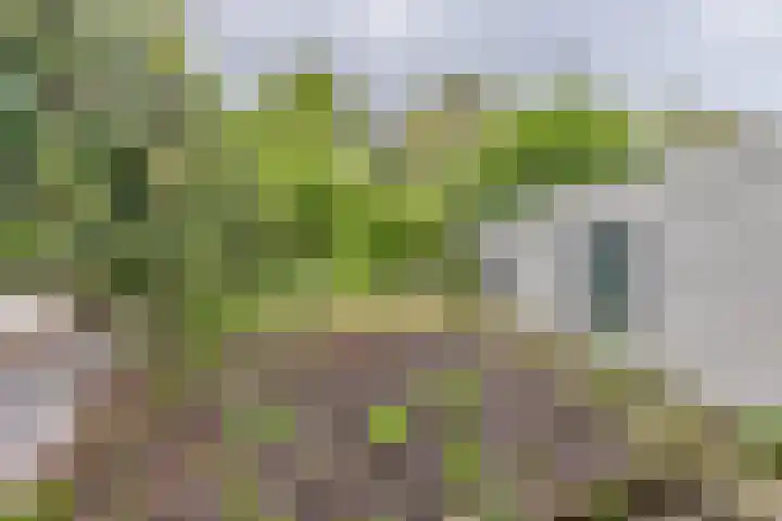 Bermweg 210 Capelle aan den IJssel thumbnail 14