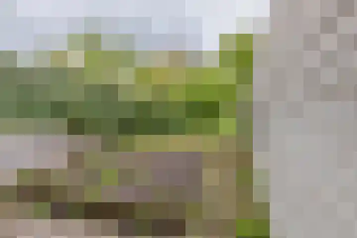 Bermweg 210 Capelle aan den IJssel thumbnail 15