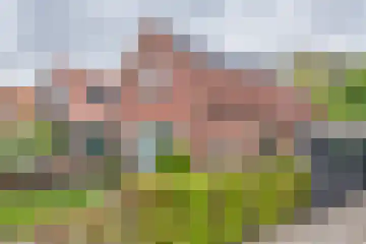 Bermweg 210 Capelle aan den IJssel thumbnail 23