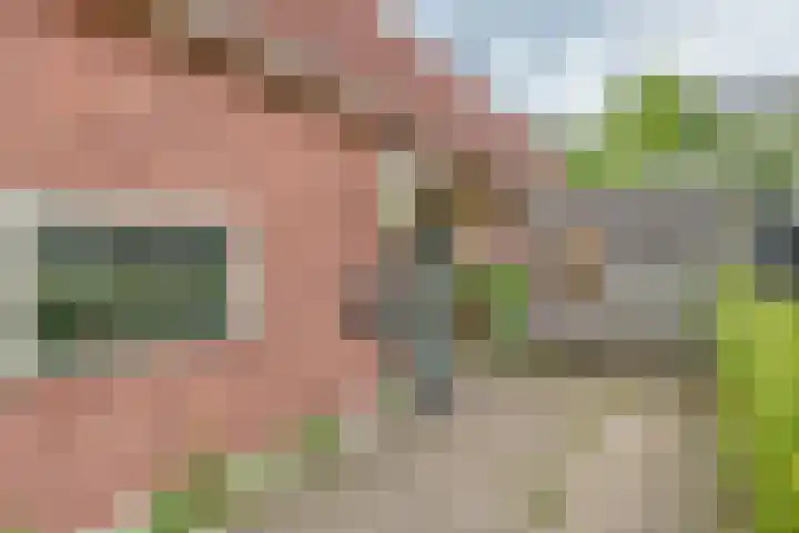 Bermweg 210 Capelle aan den IJssel thumbnail 4