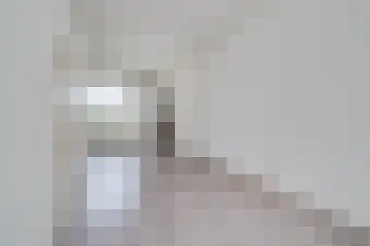 Bermweg 210 Capelle aan den IJssel thumbnail 7