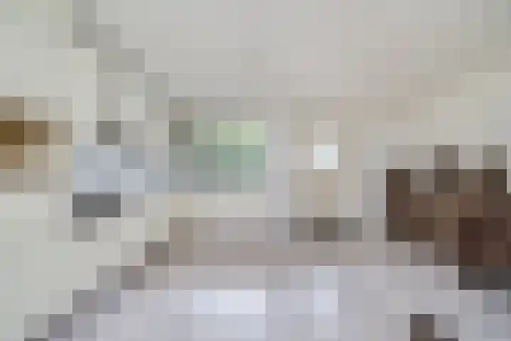 Bermweg 210 Capelle aan den IJssel thumbnail 8