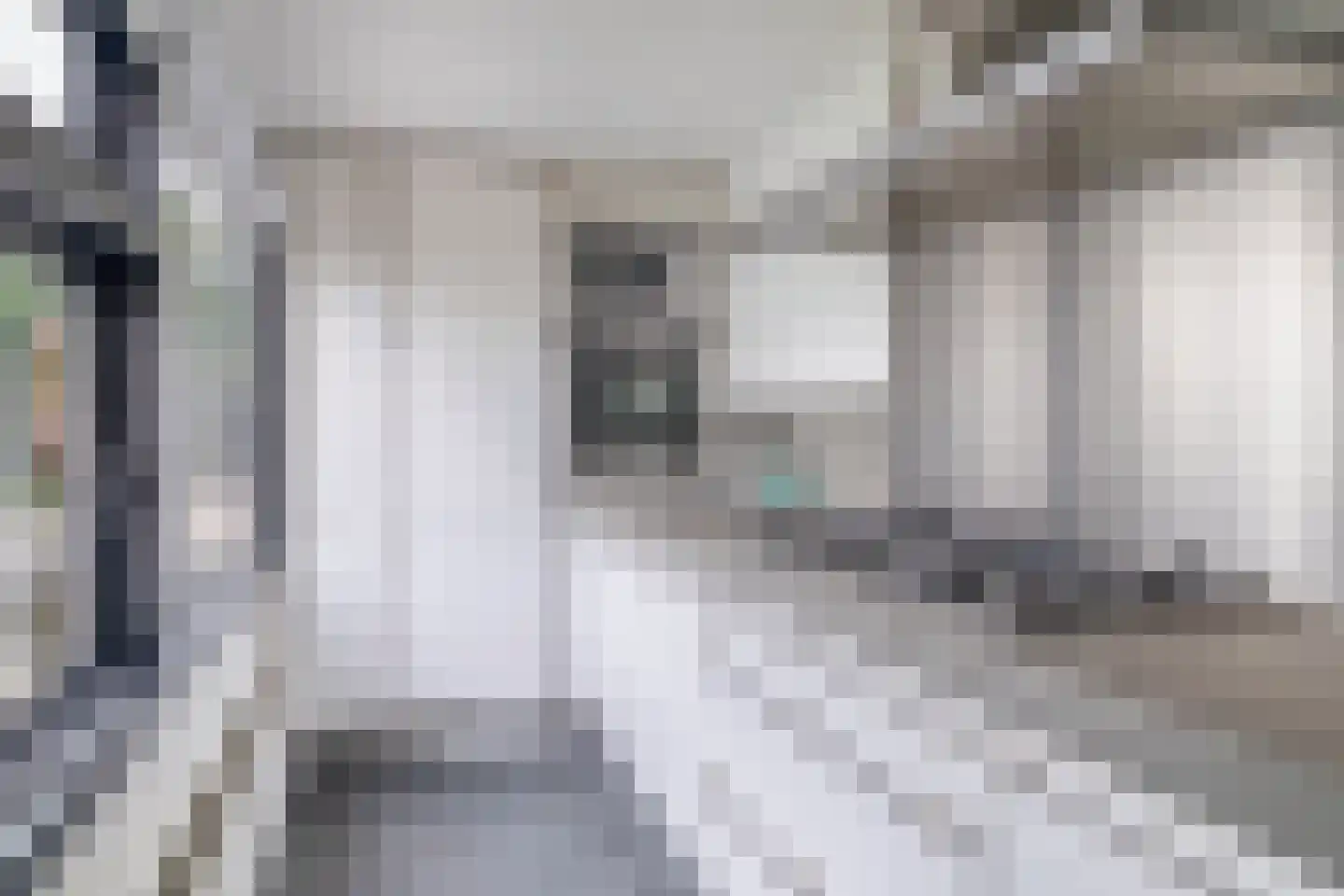 Bermweg 242 Capelle aan den IJssel thumbnail 12