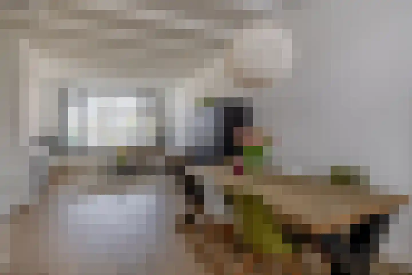 Bermweg 242 Capelle aan den IJssel thumbnail 13