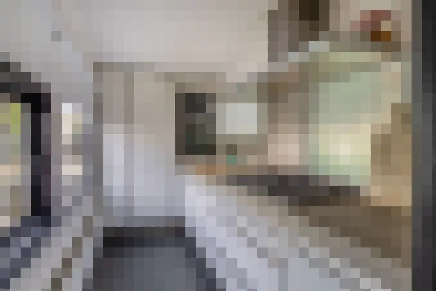 Bermweg 242 Capelle aan den IJssel thumbnail 14