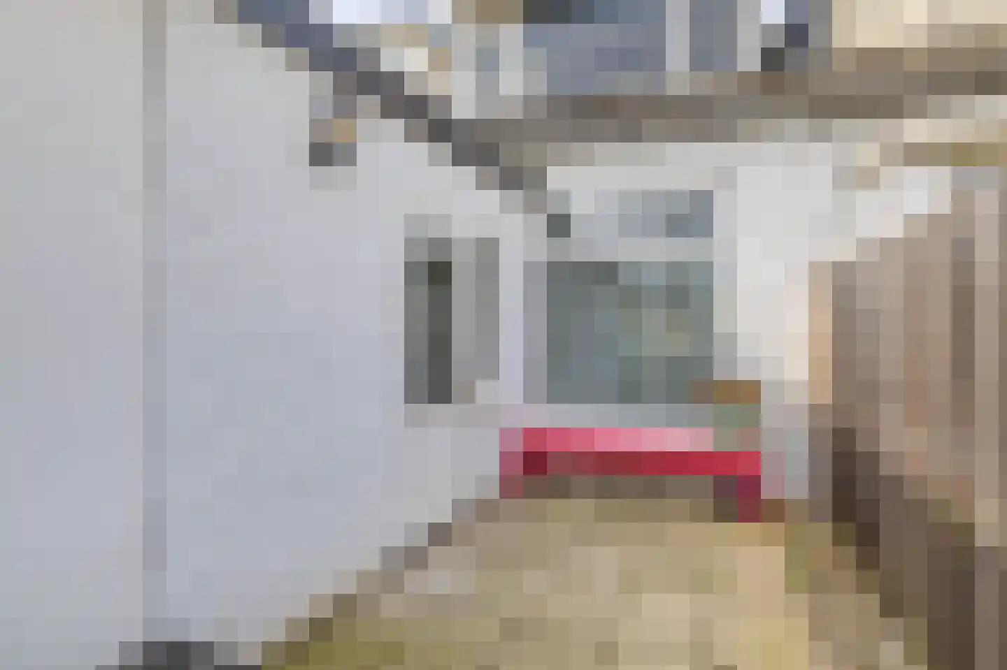 Bermweg 242 Capelle aan den IJssel thumbnail 27