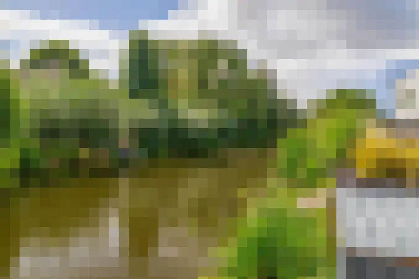 Bermweg 242 Capelle aan den IJssel thumbnail 28