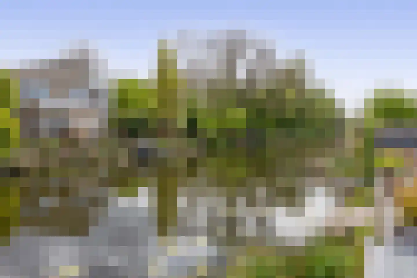 Bermweg 242 Capelle aan den IJssel thumbnail 29