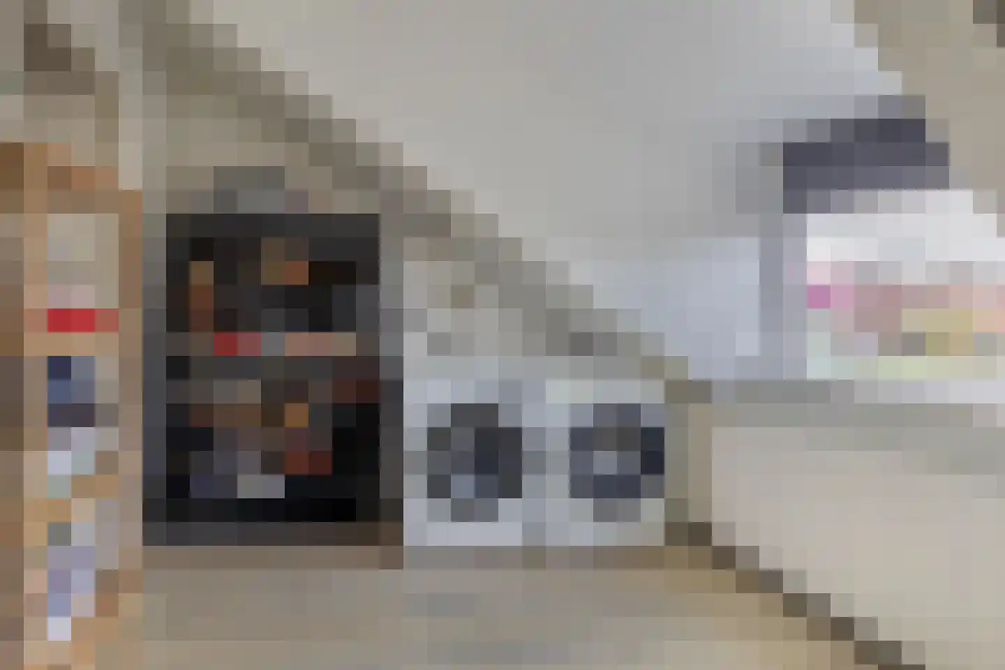 Bermweg 242 Capelle aan den IJssel thumbnail 38
