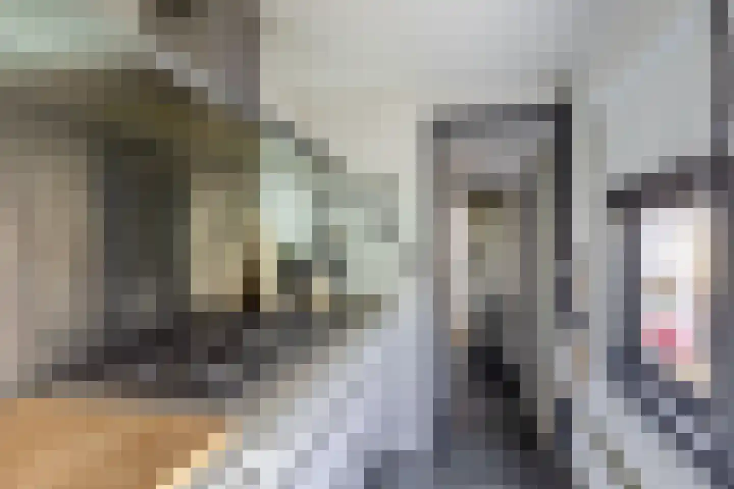 Bermweg 242 Capelle aan den IJssel thumbnail 4