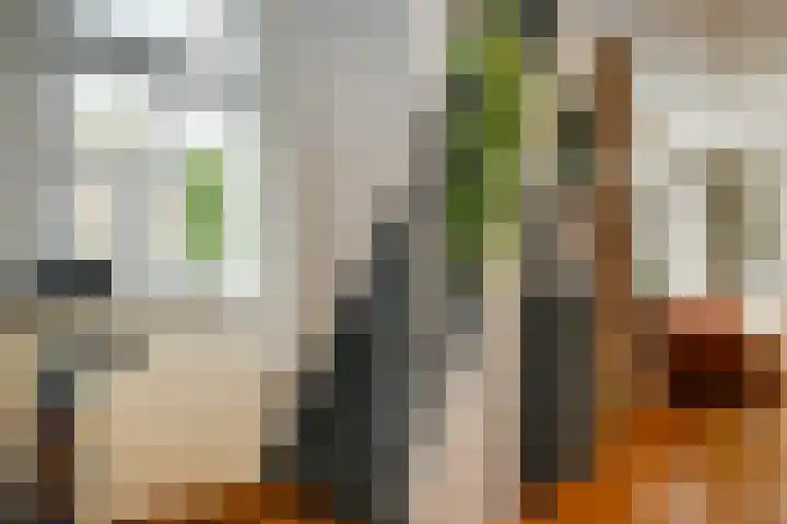 Bermweg 272 Capelle aan den IJssel thumbnail 15