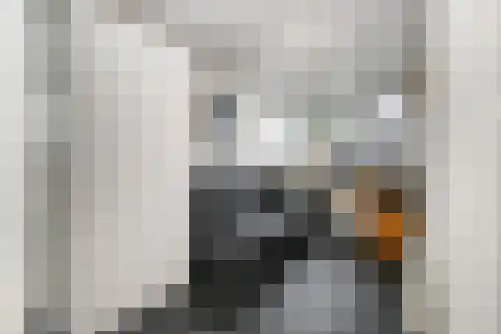 Bermweg 272 Capelle aan den IJssel thumbnail 23