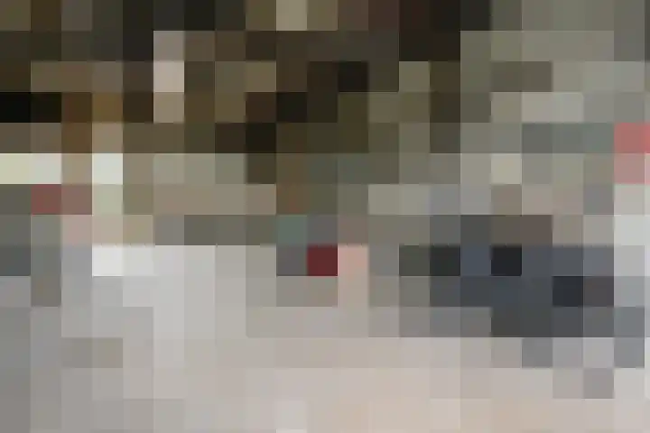 Bermweg 272 Capelle aan den IJssel thumbnail 31
