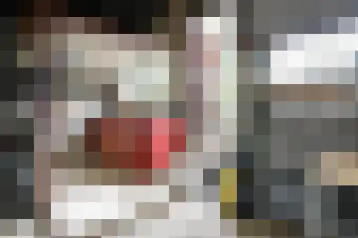 Bermweg 272 Capelle aan den IJssel thumbnail 32
