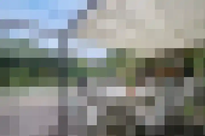 Bermweg 272 Capelle aan den IJssel thumbnail 34