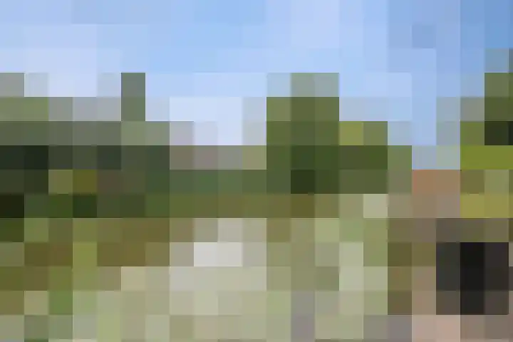 Bermweg 272 Capelle aan den IJssel thumbnail 35