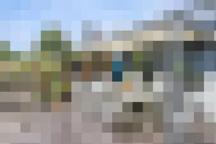 Bermweg 272 Capelle aan den IJssel thumbnail 36