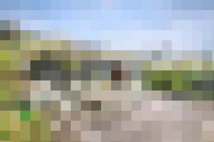 Bermweg 272 Capelle aan den IJssel thumbnail 37