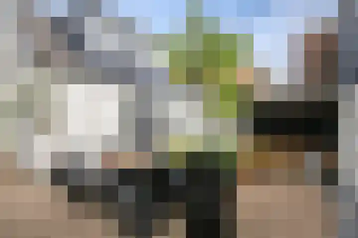 Bermweg 272 Capelle aan den IJssel thumbnail 40