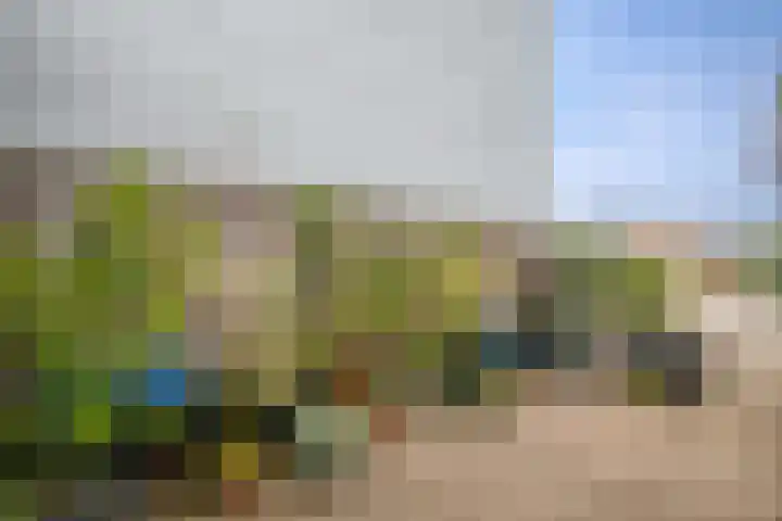 Bermweg 272 Capelle aan den IJssel thumbnail 41