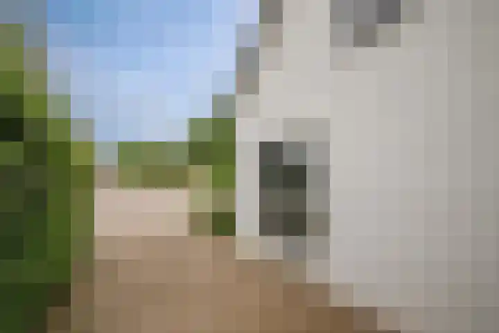 Bermweg 272 Capelle aan den IJssel thumbnail 45