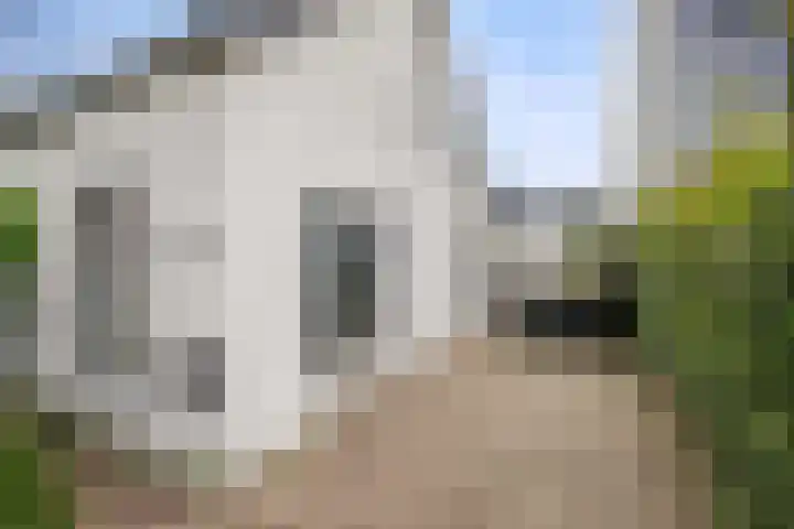 Bermweg 272 Capelle aan den IJssel thumbnail 46