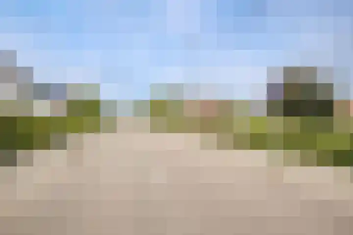 Bermweg 272 Capelle aan den IJssel thumbnail 50