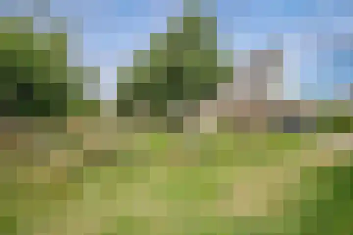 Bermweg 272 Capelle aan den IJssel thumbnail 52