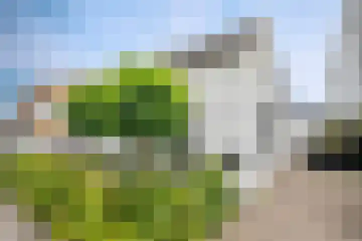 Bermweg 272 Capelle aan den IJssel thumbnail 55