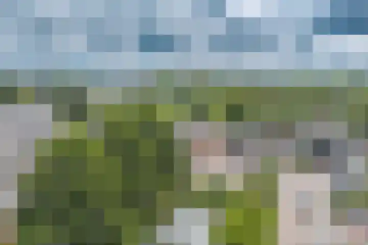 Bermweg 272 Capelle aan den IJssel thumbnail 57