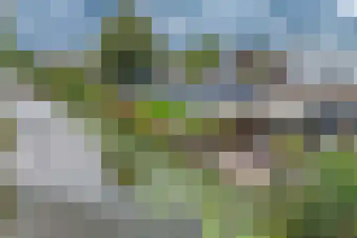Bermweg 272 Capelle aan den IJssel thumbnail 59